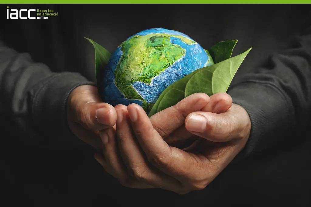 Día Mundial de la Tierra: ¿Cómo podemos contribuir para reducir nuestra huella de carbono? 